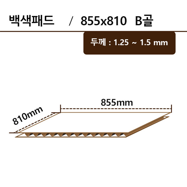 백색패드-855*810 B골 ●